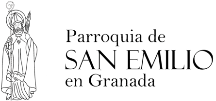 sanemilio.info